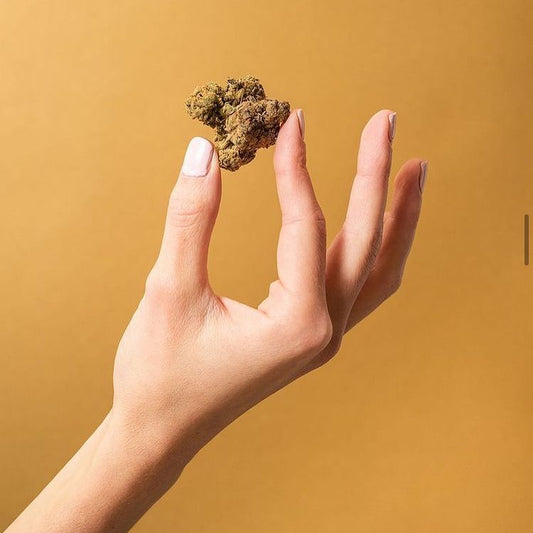 Nutrientes / Abonos / Fertilizantes para Marihuana
