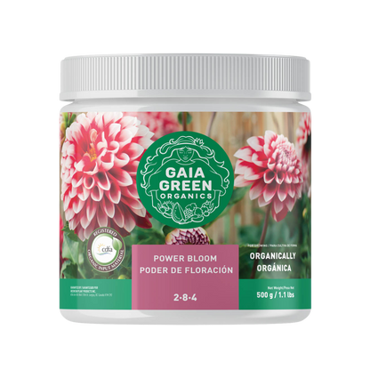 Gaia Green - Power Bloom