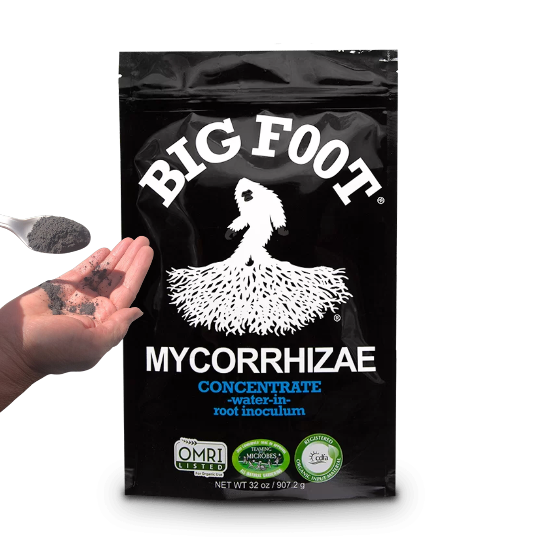 Micorrizas Cannabis Marihuana México Grow Shop México Selva