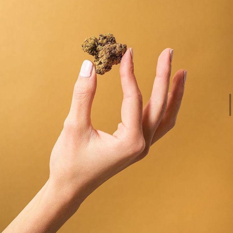Nutrientes / Abonos / Fertilizantes para Marihuana