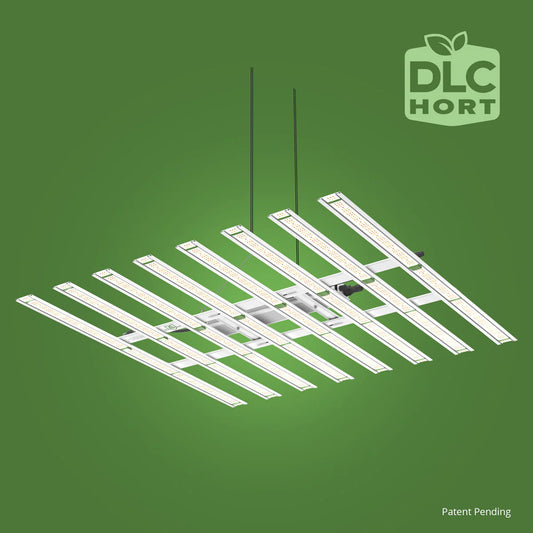 FloraFlex 700W LED full spectrum para cultivo interior en 4×4 ft (floración)