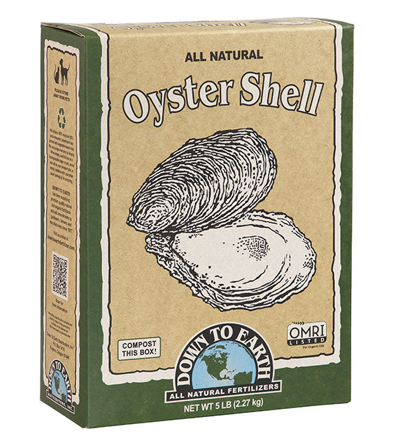 Down to Earth - Oyster Shell