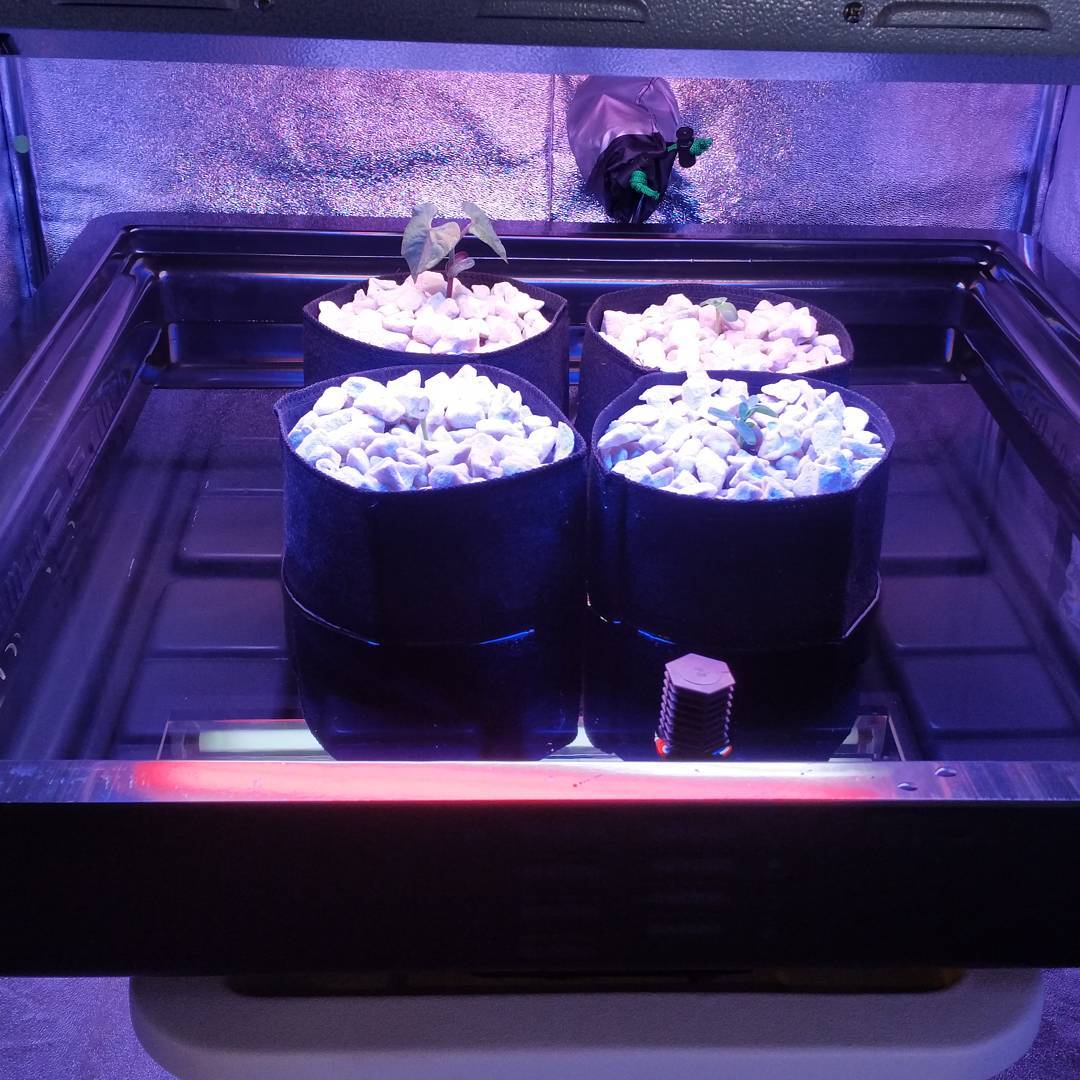 Ebb Flow Kit llenado Riego Desague Mexico