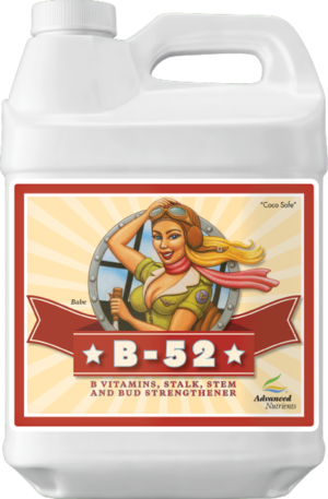 B-52 Advanced Nutrients Mexico