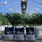 General Hydroponics - FloraPro Grow, Bloom & Micro