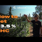 Advanced Nutrients - Big Bud