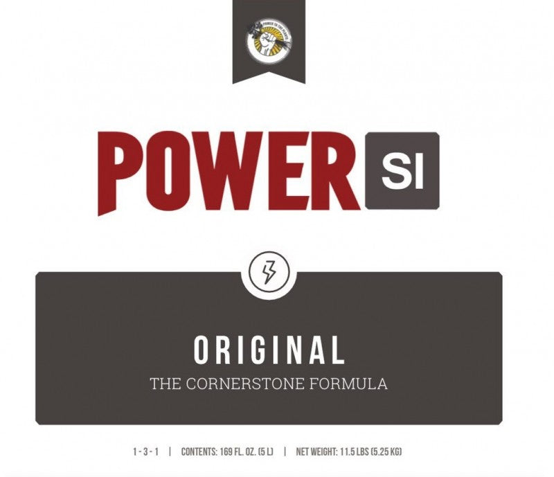 Power si Original Silicio México