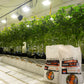 Advanced Nutrients Sensi Professional Series