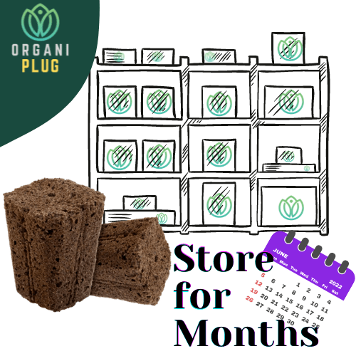 Semillero Root Riot Clonex Organiplug Rapid Rooter Grow Shop México