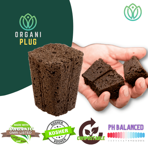 Semillero Root Riot Clonex Organiplug Rapid Rooter Grow Shop México