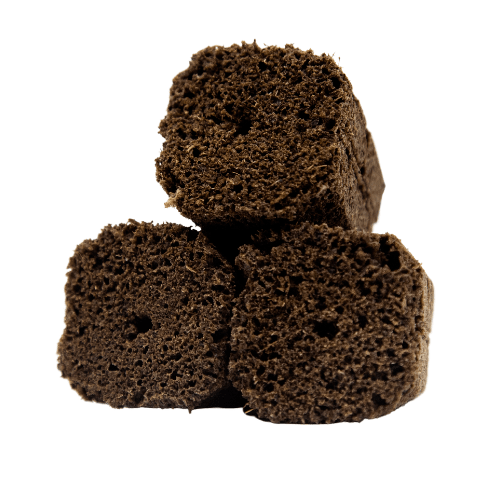 Semillero Root Riot Clonex Organiplug Rapid Rooter Grow Shop México