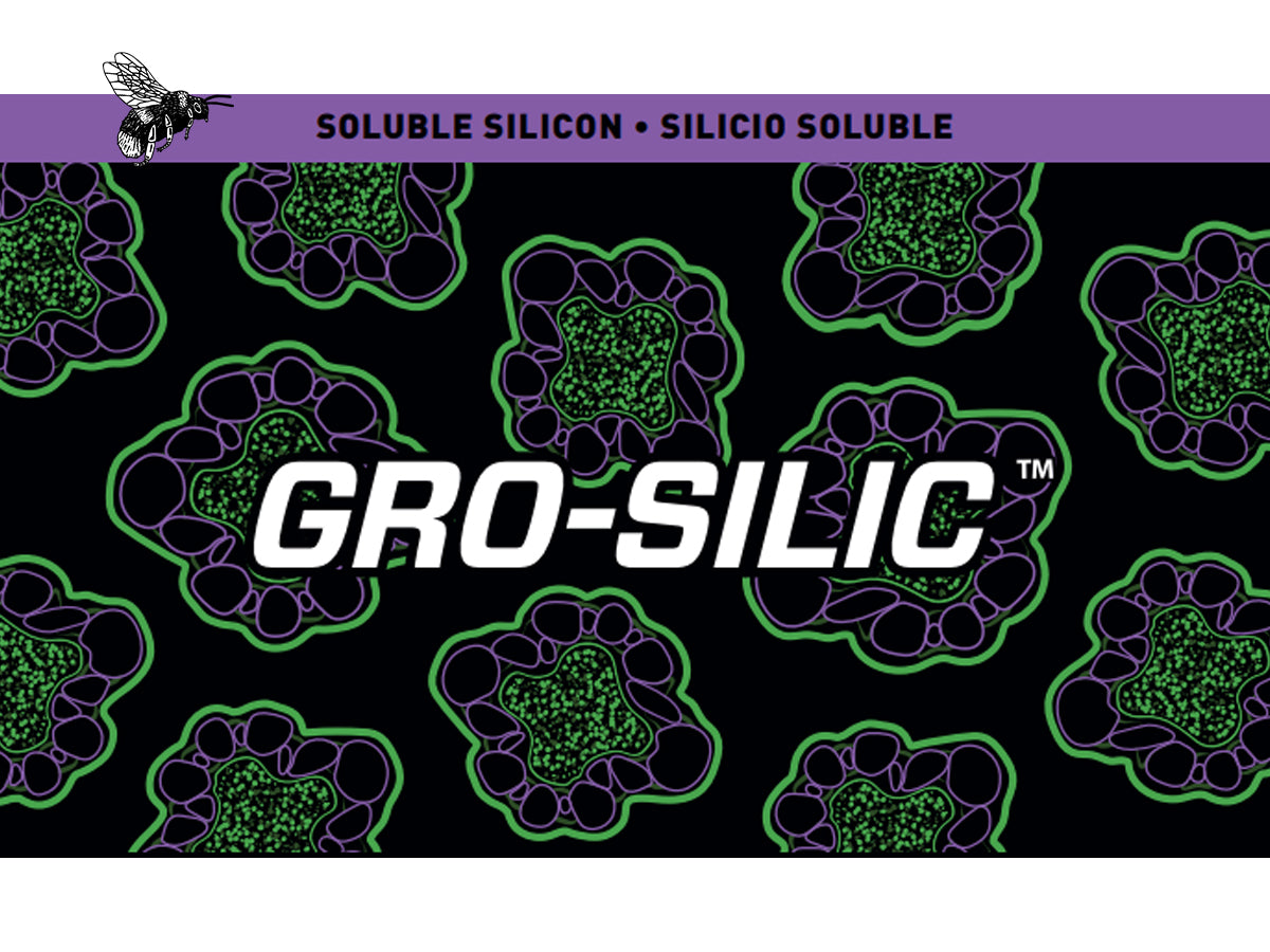 Grotek - Gro Silicio Marihuana México